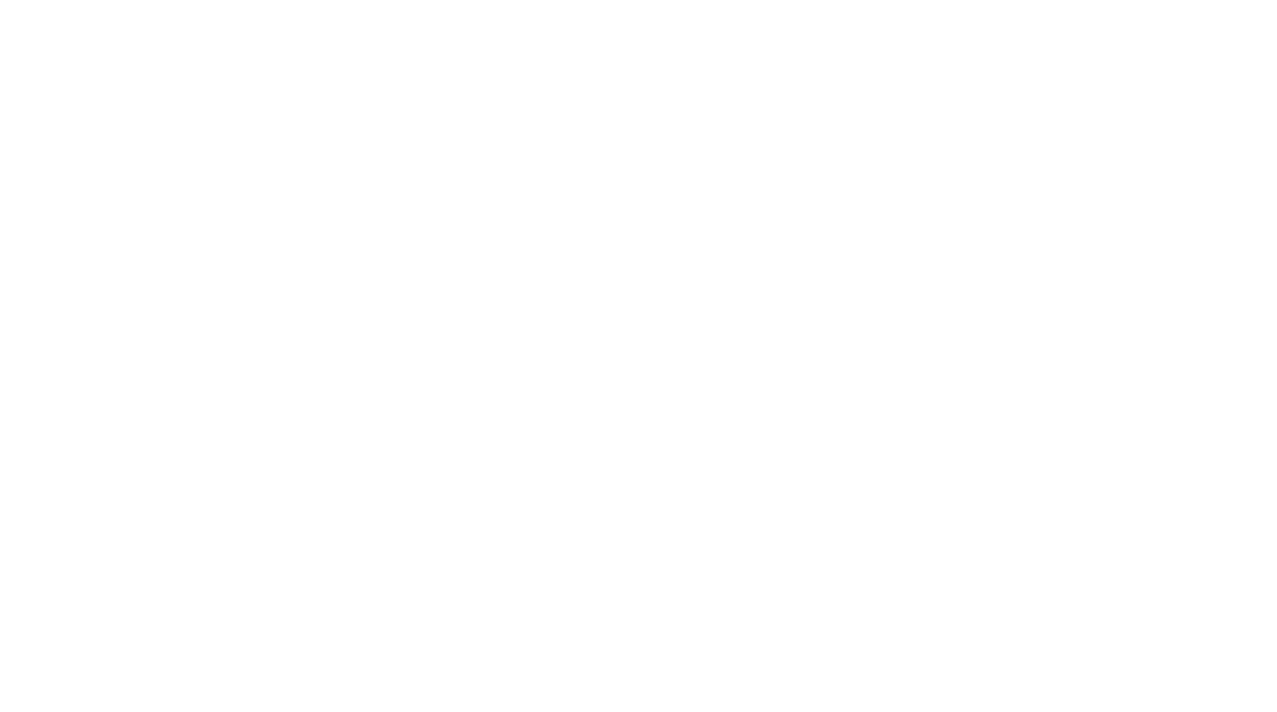 light logo